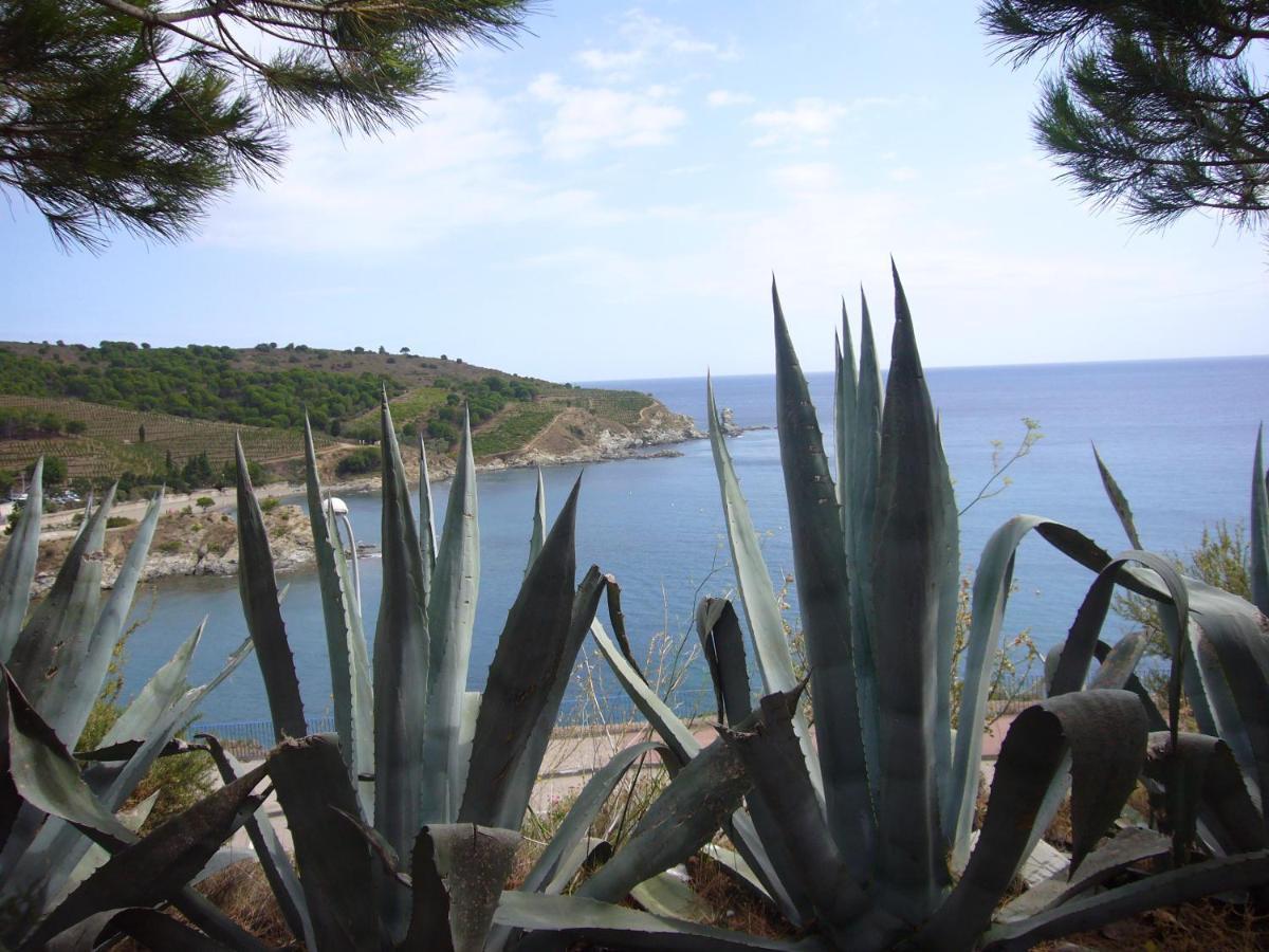Week End Evasion A Banyuls Sur Mer Dans Pyrenees Orientales Exteriér fotografie
